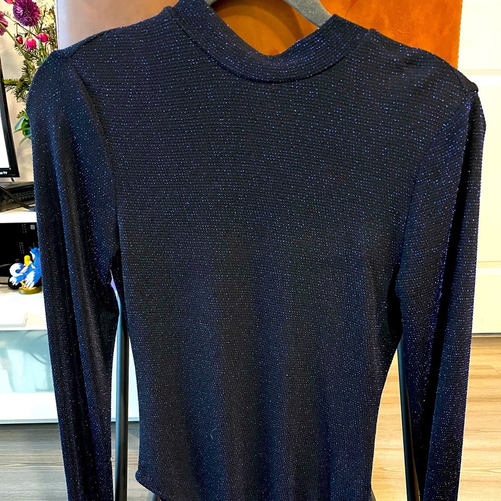 Sparkly blue body suit. Kinda see thru, dressy, night out on the town!